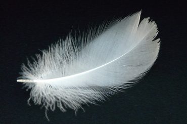 Federcasse, proposta impalpabile