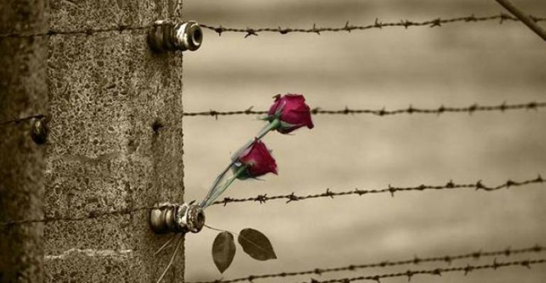 Il giorno della memoria