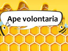 I costi dell’ape volontario