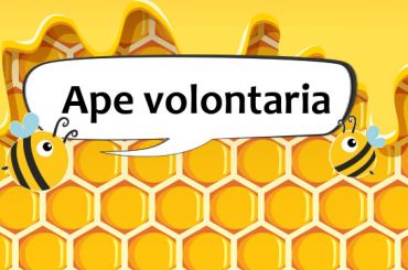 I costi dell’ape volontario