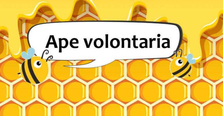 I costi dell’ape volontario