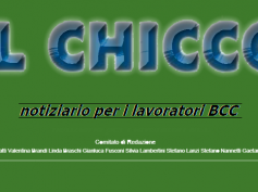 Il Chicco: quali polizze ci tutelano?