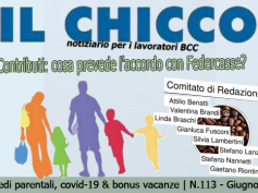 Il Chicco 113: congedi parentali, covid-19 e bonus vacanze