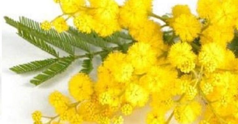 L’otto marzo è tutti i giorni