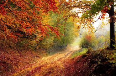 Giornata Mondiale dell’Ambiente, difendiamo il nostro pianeta