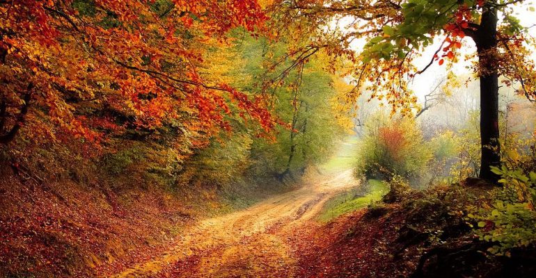 Giornata Mondiale dell’Ambiente, difendiamo il nostro pianeta