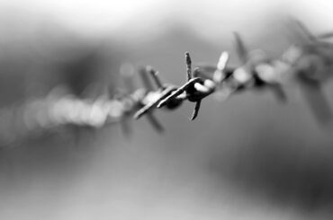27 gennaio, Giorno della Memoria, per non dimenticare