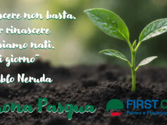 È per rinascere che siamo nati