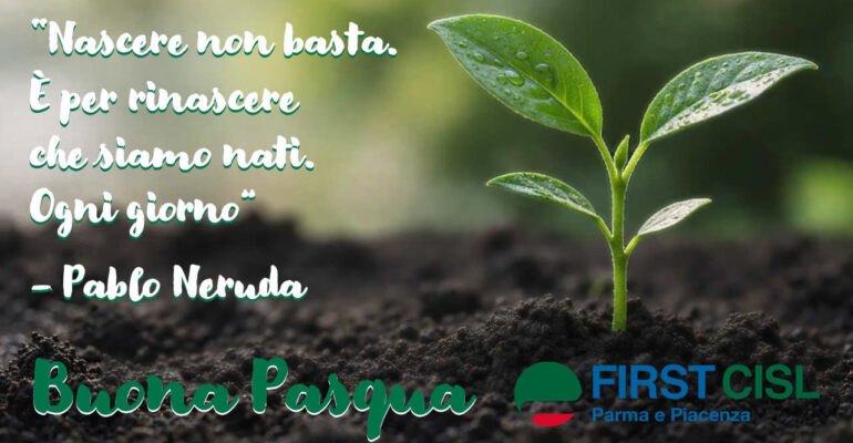 È per rinascere che siamo nati