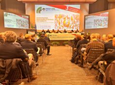 Congresso Puglia, Coordinamenti zonali, eletti Armenise, Pica, Ria e Spagnuolo