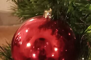 Auguri