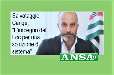 Ansa, Colombani su salvataggio Carige, Fitd va in direzione da noi auspicata