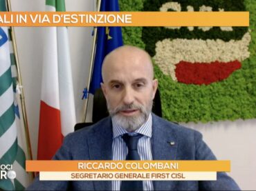 Colombani a Tv2000: non solo aree interne, la desertificazione bancaria investe anche le grandi città